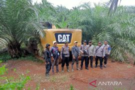 DLHK laporkan perambah hutan ke Polda