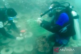 Pj wali kota ajak semua pihak jaga kelestarian terumbu karang di Sabang