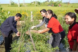 Pemkab Gianyar dinilai sukses cetak tenaga kerja mandiri