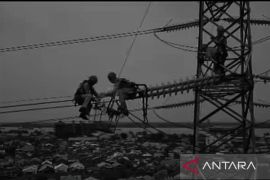 PLN mitigasi ancaman gangguan pada jaringan Kalselteng di Tapin