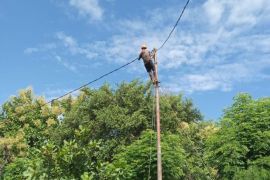 PLN pulihkan pasokan listrik di Amfoang