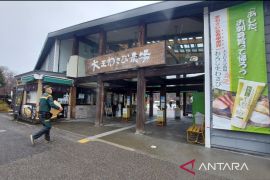 Mengenal lebih dalam wasabi Jepang