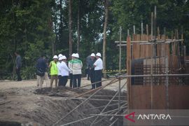 Jokowi sebut KIPI didukung energi hijau Sungai Mentarang-Sungai Kayan