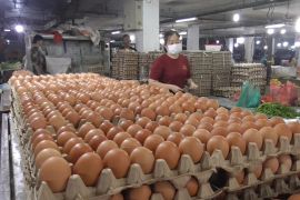 KPPU pantau harga barang dampak penyesuaian harga BBM non subsidi