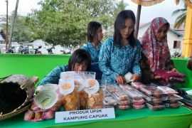 Produk PKK jadi perhatian di Musrenbang Kecamatan Talisayan