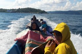 Halmahera Selatan bentuk satgas antisipasi  maraknya pembalakan liar