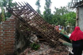 Angin kencang dan puting beliung meliputi delapan kecamatan di Jember
