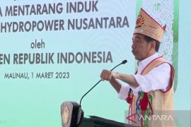 Mentarang PLTA expected to bolster green economy: President Jokowi