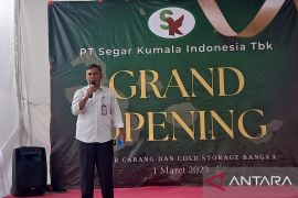 Babel dorong SKI ekspor buah lokal