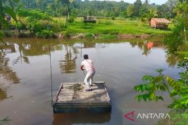 Jembatan tak kunjung dibangun, puluhan petani di Simeulue gunakan rakit ke kebun