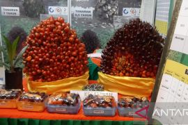 "Loading ramp" ditutup agar tata niaga sawit sehat