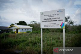 Gapoktan Kayuh Baimbai binaan PLN jadi tujuan benchmark Pemerintah Mancanegara