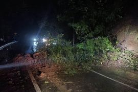 Hujan intensitas tinggi sebabkan sejumlah titik di Malang Raya longsor