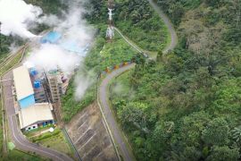 Potensi geothermal di Manggarai mencapai 1.000 MW