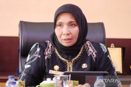 Pj Bupati Nagan Raya cari solusi persoalan ketenagakerjaan di PLTU 3-4