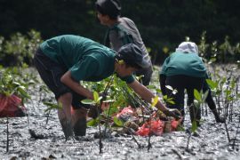 PLN sukses raih penghargaan di IGA Award 2023
