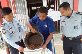 WBP Lapas Banjarbaru panen perdana budidaya jangkrik