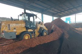 Masuki Triwulan Pertama 2023, PLN Nusantara Power Pasok 19.902 MWh Energi Bersih