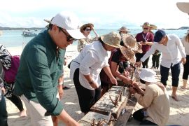 Delegasi ASEAN HLTF-EI 2023 tanam terumbu karang di Belitung