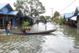 17.257 rumah di Kabupaten Banjar terendam banjir