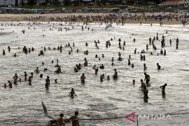 Aksi penembakan di pantai Sydney, meninggal jadi 16 orang