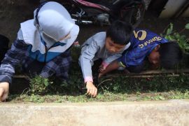 Rumah Amal Salman gelar aksi bersih-bersih masjid jelang Ramadhan