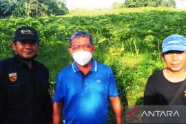 Pemprov Kaltim optimistis  BUMDes bisa andil turunkan "stunting"