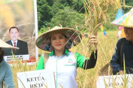 Karolin dorong pemda maksimalkan pembinaan untuk petani