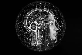 Profesi yang akan bertahan dan berkembang dengan teknologi AI
