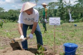 PTPN bersama PT KAI gelar "Bakti BUMN" di Banyuwangi