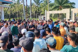 Gaji tak dibayar, puluhan karyawan PT MAS Bengkalis mogok kerja