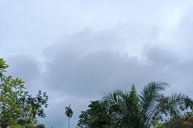 Hari ini cuaca di Pangkalpinang diprakirakan berawan tebal
