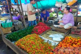Harga cabai rawit di Kotabaru tembus Rp 100.000/Kg