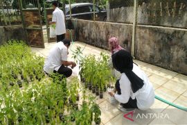 Dinas Ketahanan Pangan dan Pertanian bagikan bibit cabai untuk atasi inflasi