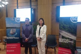 STB: Wisatawan Indonesia dominasi kunjungan ke Singapura