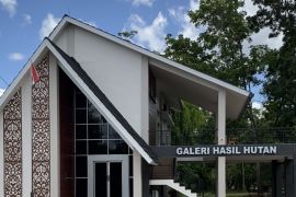 Galeri Hasil Hutan Kalbar jadi rekomendasi wisata edukatif
