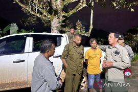 BKSDA: kemunculan harimau di Koto Rambah Lubuk Gadang Utara hanya sementara