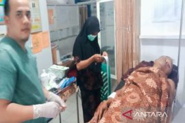 Seorang warga Madina terluka diserang buaya