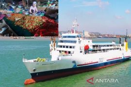 Kalsel kemarin, DLU siapkan 45 kapal hingga stok cabai