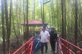 Disbudpar dukung pengembangan ekowisata mangrove Aceh Jaya