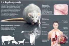 Dinkes Trenggalek sosialisasi pencegahah penyakit leptospirosis