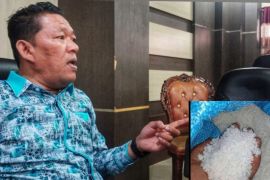 Garam tembus Rp280 ribu per sak, Pemkot Sibolga berikan solusi