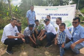 BRI Menanam, upaya berkelanjutan BRI perkuat penerapan prinsip ESG