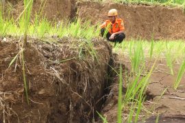 Ratusan jiwa di Jember terancam retakan tanah rawan longsor