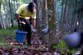 Ekspor karet Sumut  turun 6 persen