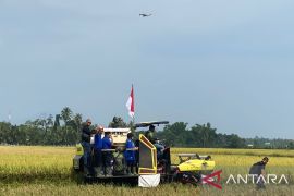 Pidie sukseskan gerakan panen padi nusantara satu juta hektare