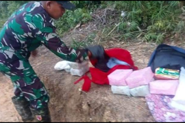 Penyeludupan 12,9 kg sabu asal Malaysia digagalkan Satgas Pamtas Yonif 645