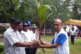 BWS: Dua irigasi Papua jadi penyuplai kebutuhan air sektor pertanian