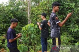 Nagan Raya minta PLN Icon+ sediakan layanan internet di pedalaman