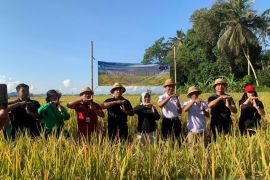 Pemkab Badung dukung gerakan Panen Padi Nusantara satu juta hektar